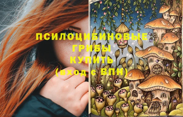 бутират Арсеньев
