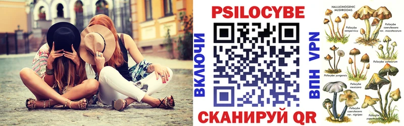 Галлюциногенные грибы Psilocybine cubensis  купить закладку  Буйнакск 